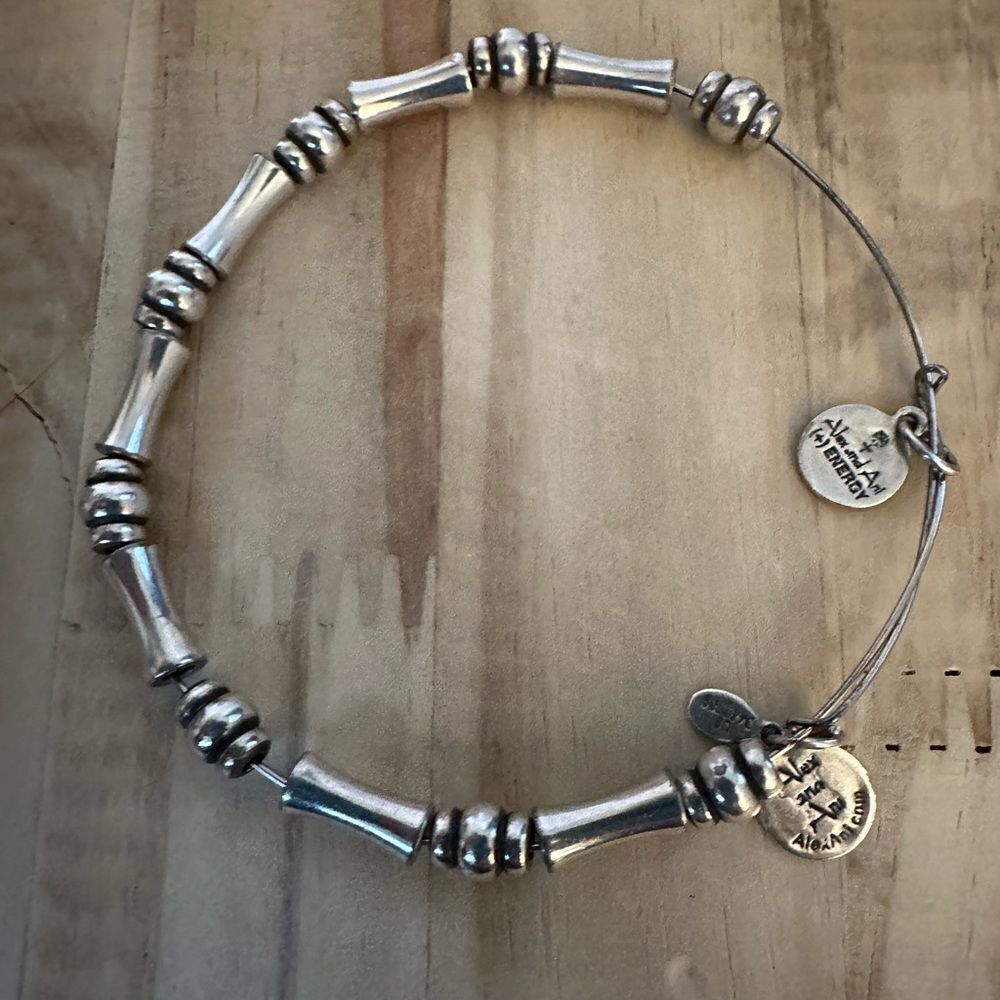 Alex and Ani silver tone bamboo bead bracelet